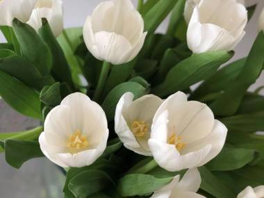 Ferienwohnung Lieberhier