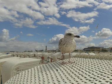 Ferienwohnungen Warnemuende Objekt