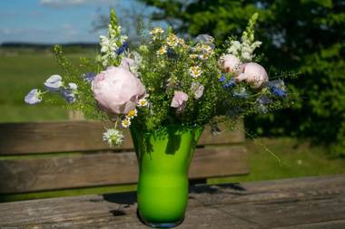 Hotel am Müritz-Nationalpark