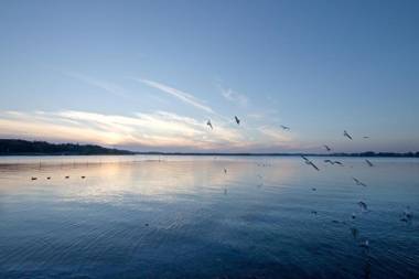 Maremüritz Yachthafen Resort