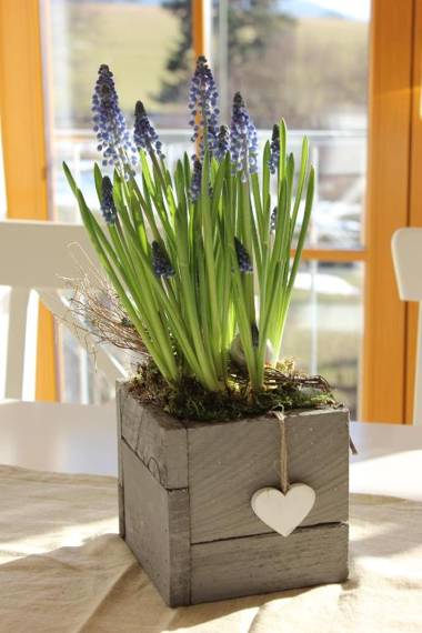 Ferienwohnung Sandra Wetzel