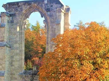 Ferienwohnungen Klosterblick