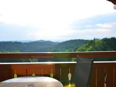 Cushy Apartment with Jacuzzi Sauna Solarium BBQ Balcony