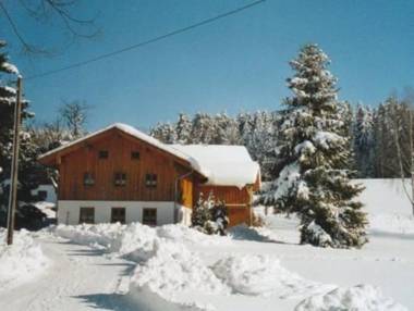 Lovely Holiday Home in Viechtach near the Forest