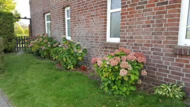 Ferienwohnung-Roesler