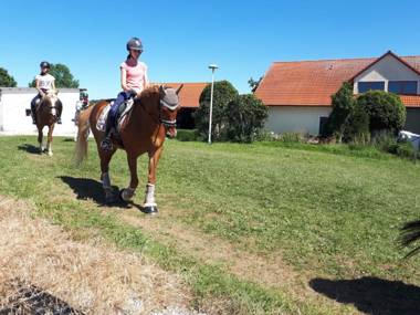 Ferienwohnung Baumgartner