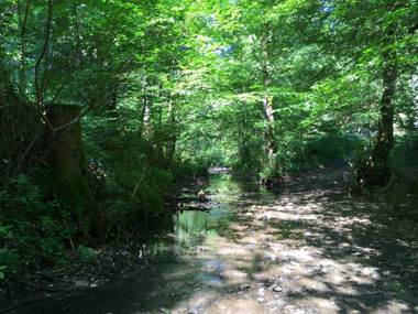 Hotel Wilhelmshöhe Auderath
