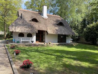 Exclusive thatched roof house in the Samtgemeinde Uelsen with conservatory