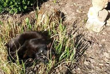 Charmante Ferienwohnung