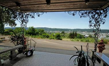 Vintage Hotel Petrisberg