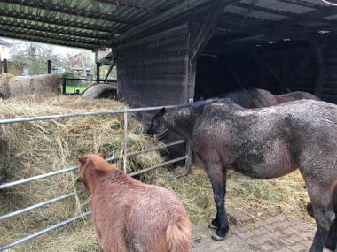 Ferienwohnung mit Herz
