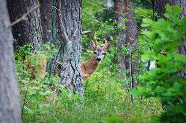 Upstalsboom Hotel Strandidyll