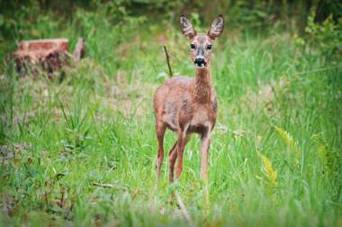 Upstalsboom Hotel Strandidyll