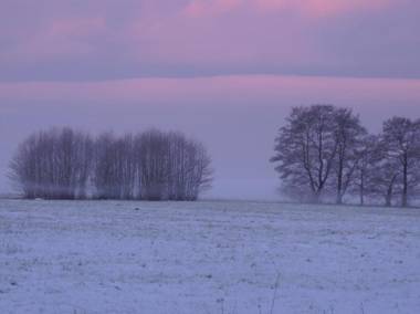 Bungalow "Wiesenblick"