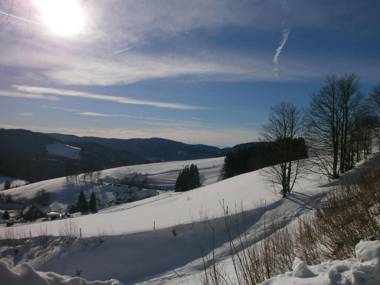 digitale Panorama Lodge Sonnenalm Hochschwarzwald