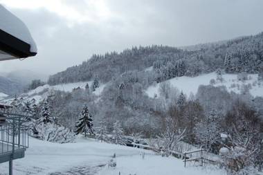 Steiert Panorama Apartments Todtnau