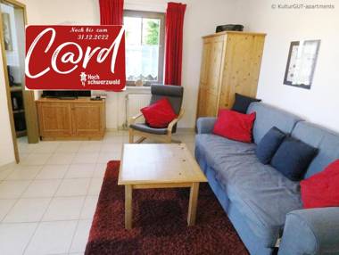 Fewo 12 - Residenz Schauinsland Todtnauberg Feldberg