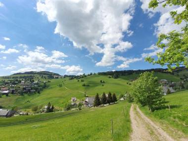 Spechtsboden C4- hochwertige Ferienwohnung mit 2 Schlafzimmer in Todtnauberg- Ski In and ski out Feldberg
