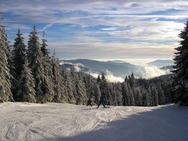 Bühlhof Todtnauberg Wohnung 3