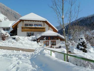 Cosy apartment in the Black Forest just outside Todtnau