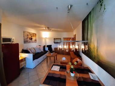 Residenz Schauinsland ganzes Appartement Sauna