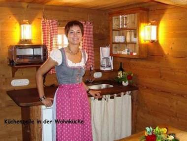 Exclusive eco-friendly alpine hut with countless extras in Asten