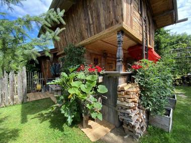 Exclusive eco-friendly alpine hut with countless extras in Asten