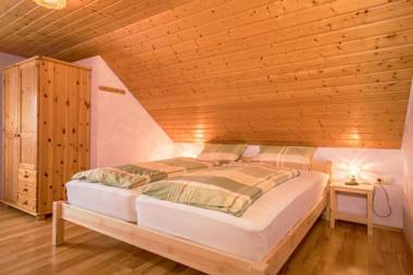 Zapfs Bauernhof Stiefmütterchen