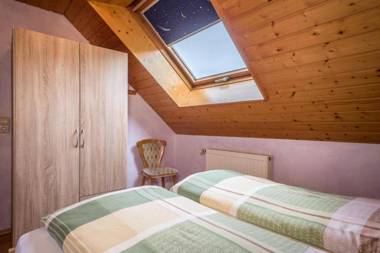 Zapfs Bauernhof Stiefmütterchen