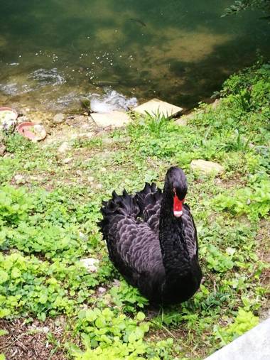 Hotel-Restaurant Bibermühle GmbH