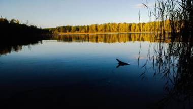Feriendorf Groß Väter See