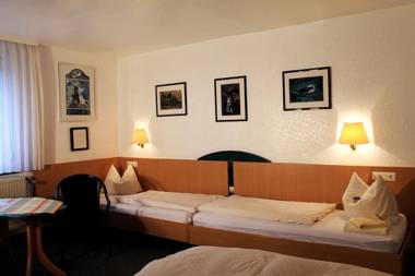 Hotel-Landgasthof Grüner Baum - Dittigheim