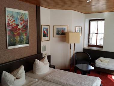 Hotel-Landgasthof Grüner Baum - Dittigheim