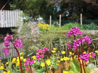 Ferienwohnungen Straßer