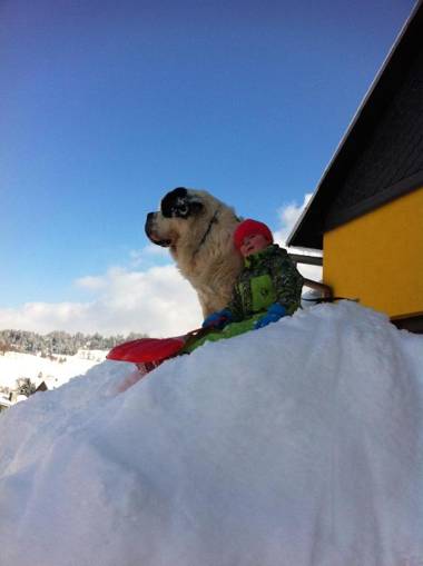 Ferienwohnung Reifberg