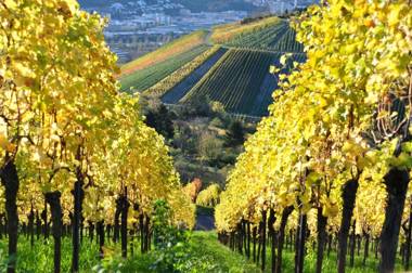 Gästehaus abz Stuttgart