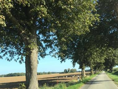 Luxurious Apartment in Boddin with Garden