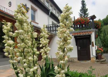 Ferienhaus Haus am Wald