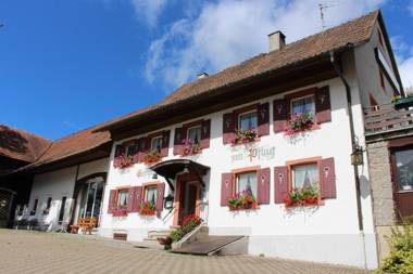 Hotel Landgasthof zum Pflug