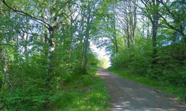 Ferienwohnung Ziegler