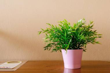 Landhotel Airport-Inn