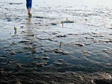 Hotel und Spa Lundenbergsand