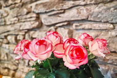 Kragemann Hotel & Vinothek