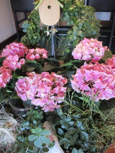 Hotel & Restaurant Schimmelreiter