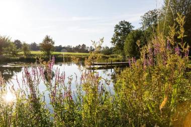 Hotel Hörterer Der Hammerwirt