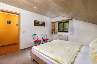 Ferienhaus Markersbach ERZ 1061