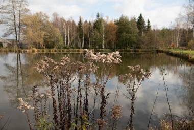 Wiesner's Teichwirtschaft