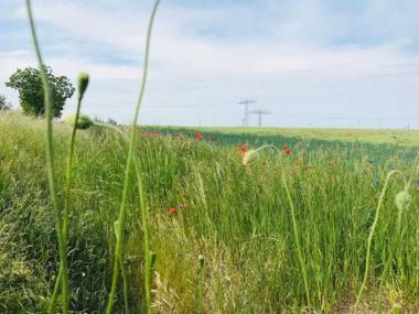 Ferienhaus Live Deluxe in der schönen Uckermark