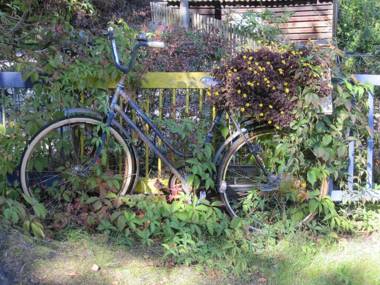 Ferienwohnungen Blätterrausch