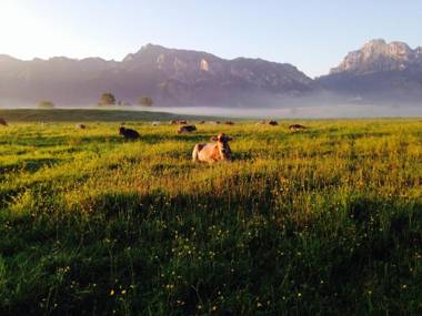 Ferienhaus Haußmann